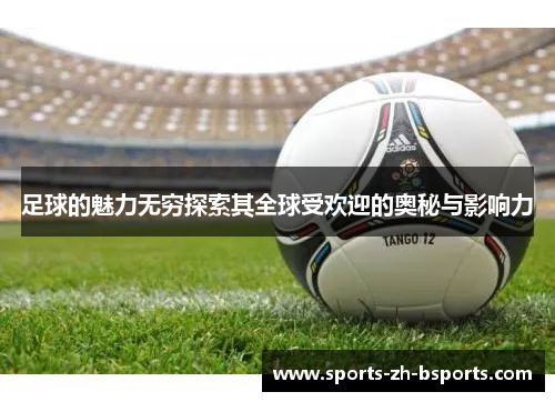 足球的魅力无穷探索其全球受欢迎的奥秘与影响力