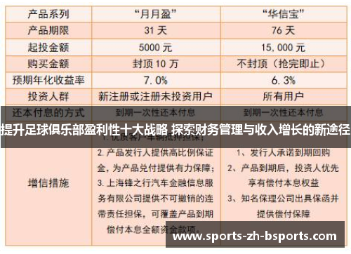 提升足球俱乐部盈利性十大战略 探索财务管理与收入增长的新途径