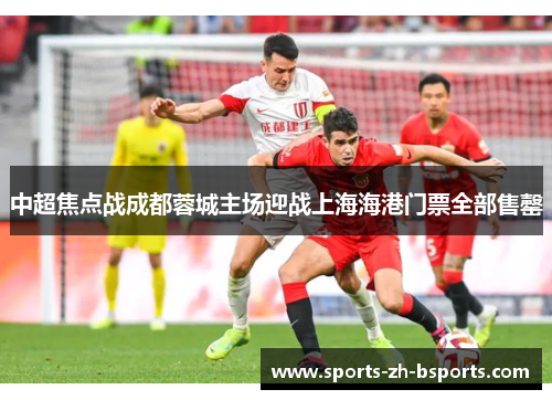 中超焦点战成都蓉城主场迎战上海海港门票全部售罄