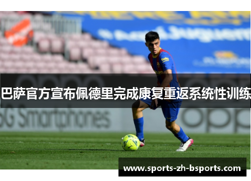 巴萨官方宣布佩德里完成康复重返系统性训练 巴萨官方宣布佩德里完成康复重返系统性训练