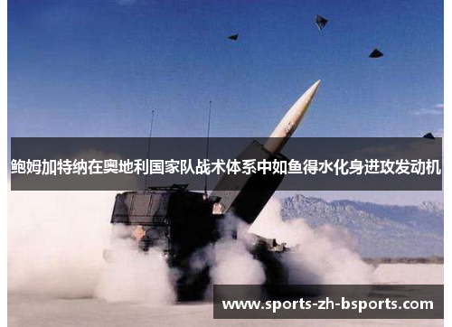 鲍姆加特纳在奥地利国家队战术体系中如鱼得水化身进攻发动机 鲍姆加特纳在奥地利国家队战术体系中如鱼得水化身进攻发动机